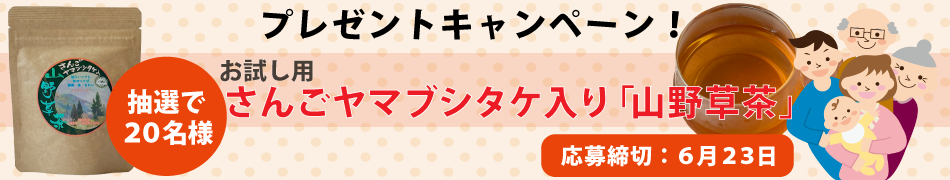 さんごヤマブシタケ入り「山野草茶」を抽選で20名様にプレゼント